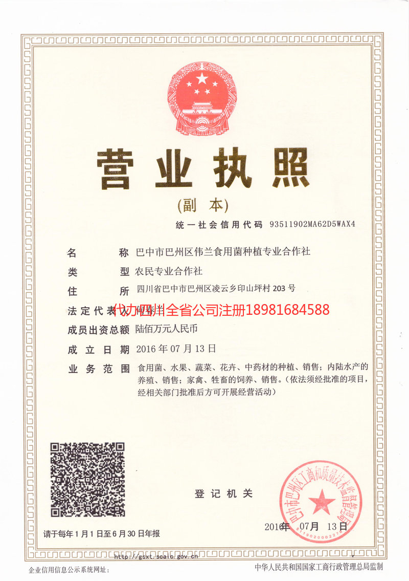 公主岭公主岭伟兰食用菌种植专业合作社